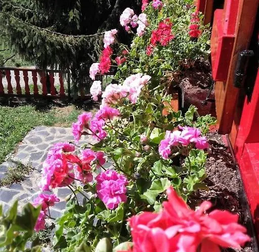 Familiar Con Jardin Y Garage Privado Σαλέ *